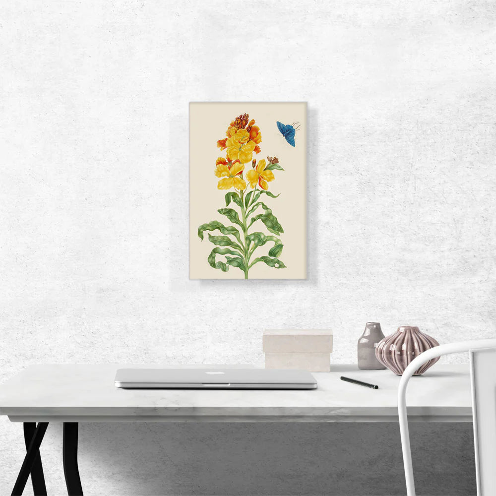 Wallflower with Blue Butterfly 1705