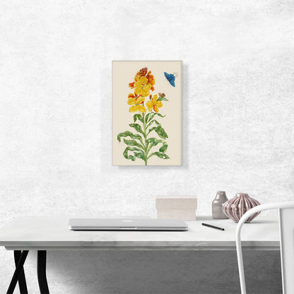 Wallflower with Blue Butterfly 1705